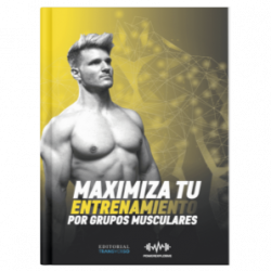 Maximiza tu entrenamiento por grupos musculares